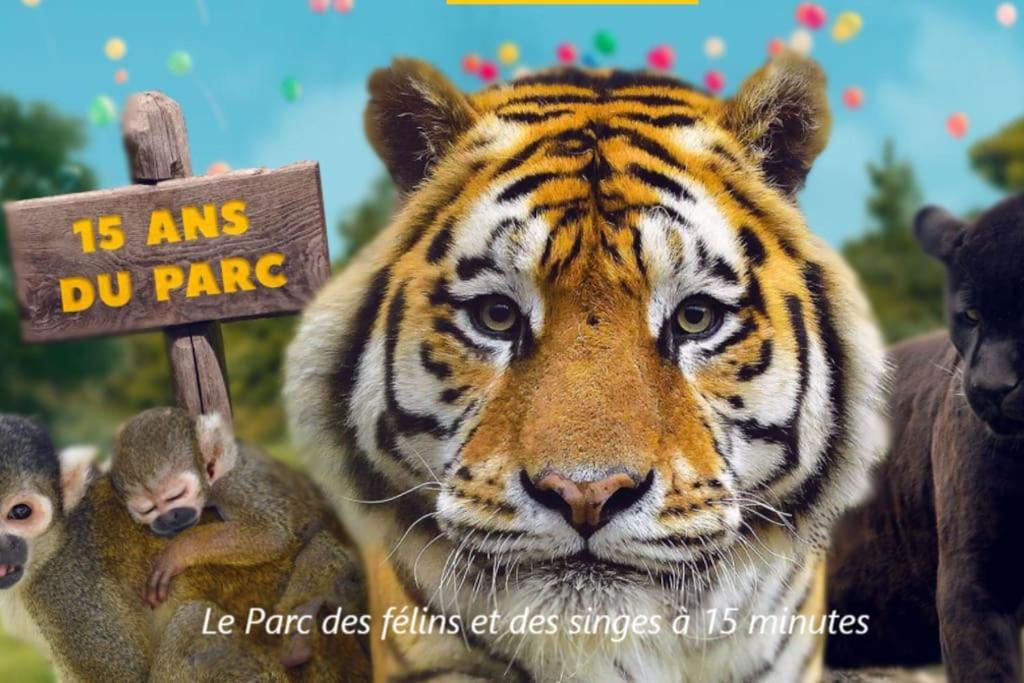 Cocon A La Campagne - Disney 20 Min - Paris 40 Min - 2 Terrasses Dammartin-sur-Tigeaux Dış mekan fotoğraf